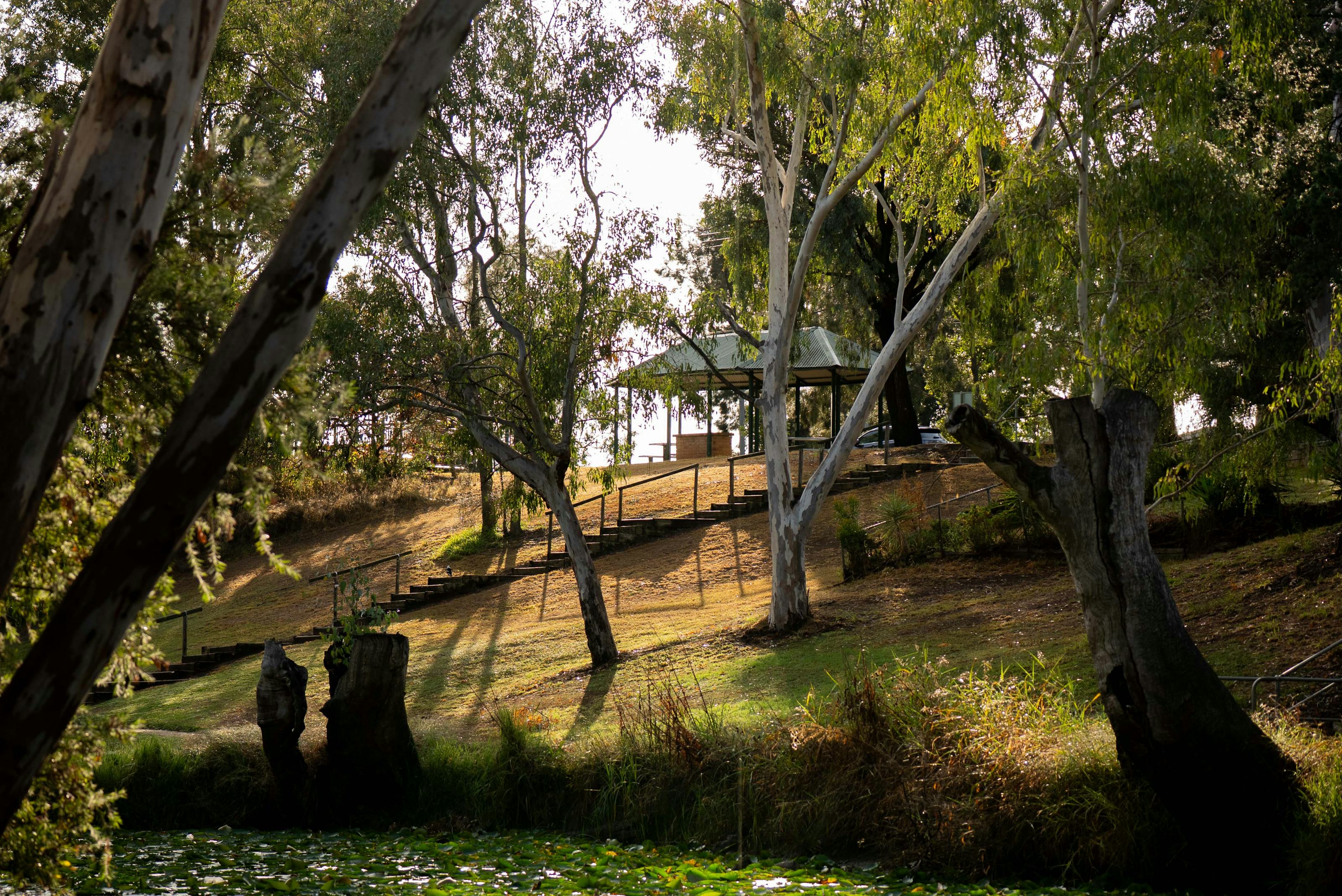 House and Land Investment Property in Oakey, QLD (4.98% Yield) | Aus Investment Properties - Photo 8
