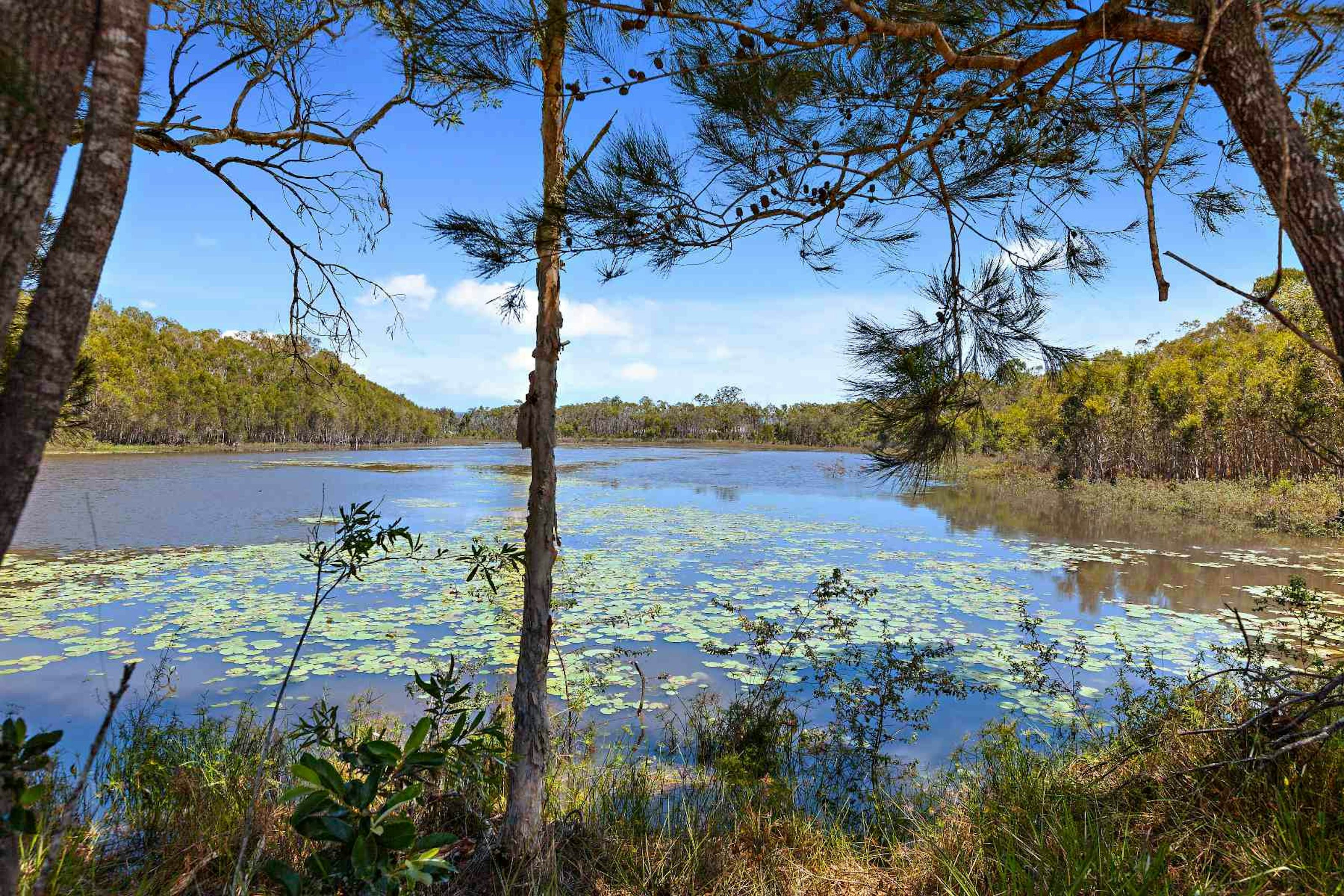1466 Proposed St CABOOLTURE, QLD 4510-2
