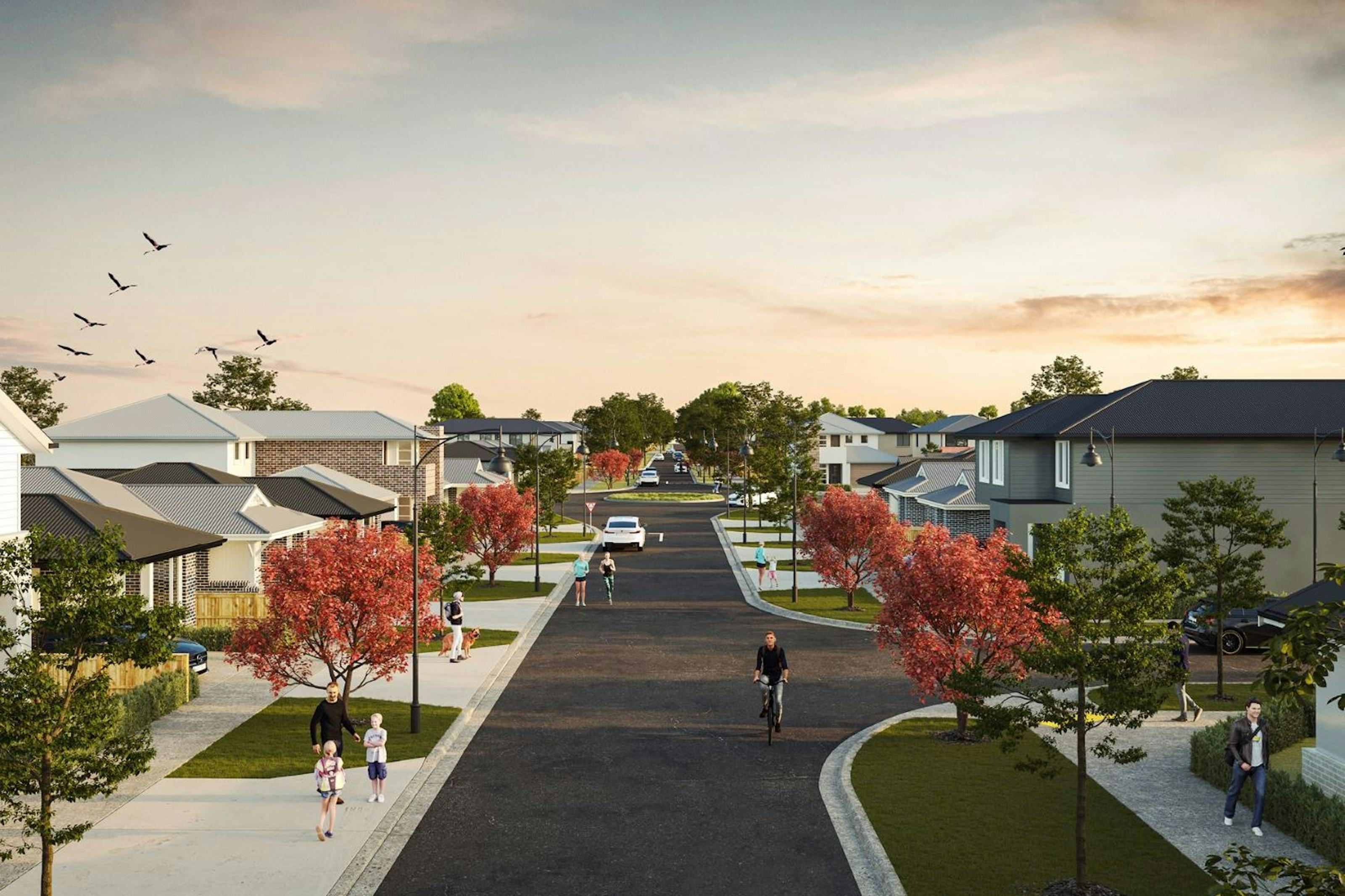 806 17 Sandringham Street Strathtulloh, VIC 3338-3