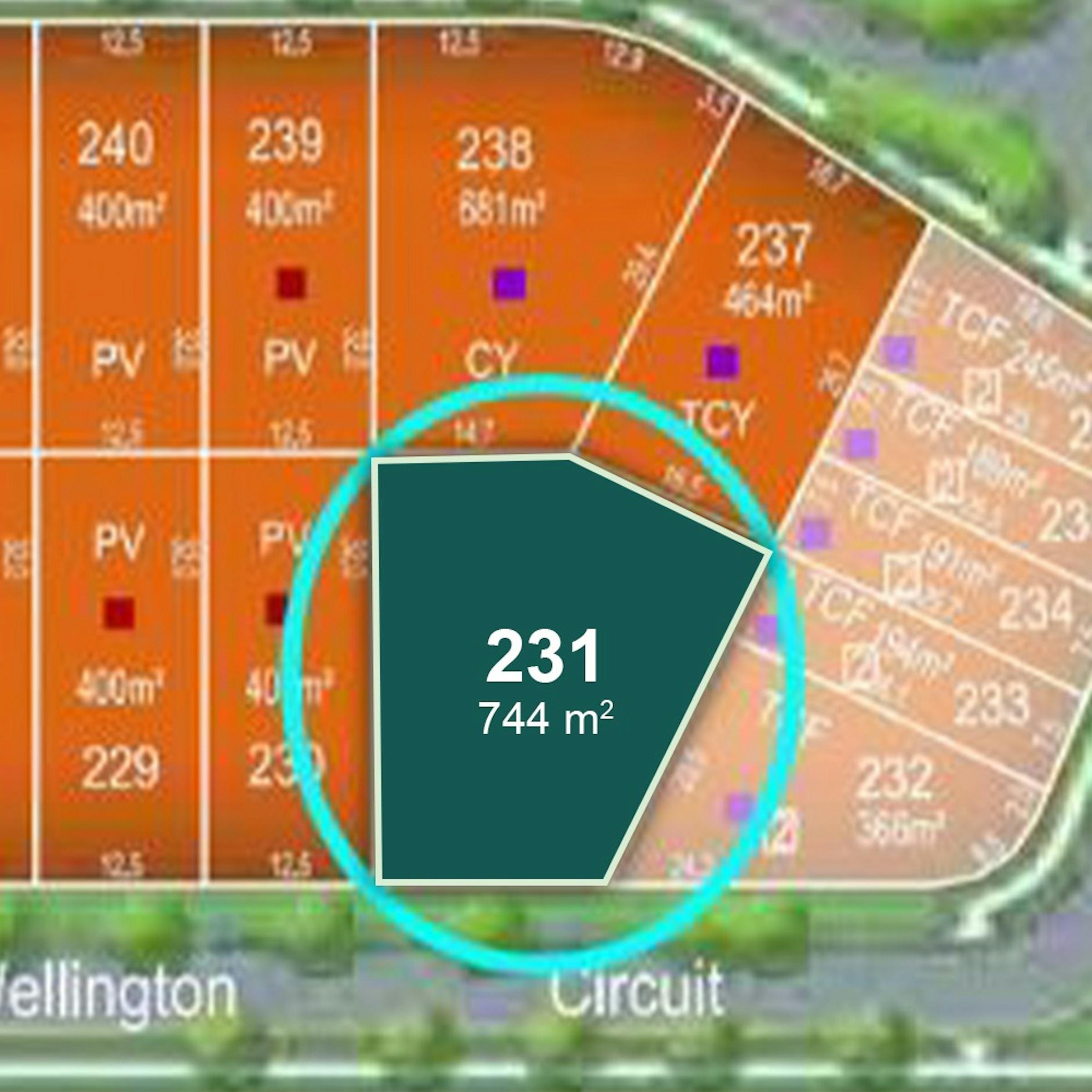 231 Wellington Circuit YARRABILBA, QLD 4207-5