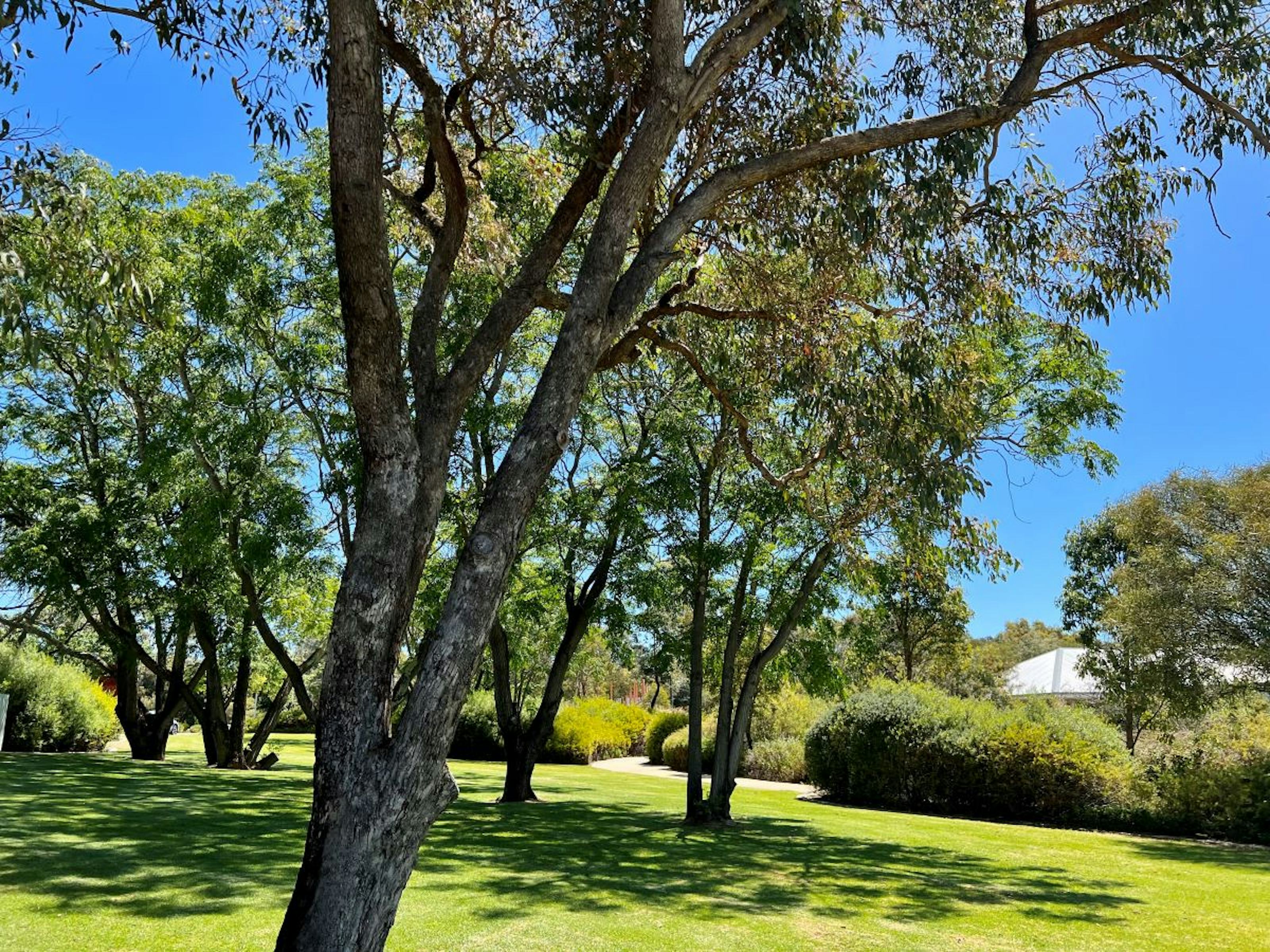 1033 Navet Street Wellard, WA 6170-5