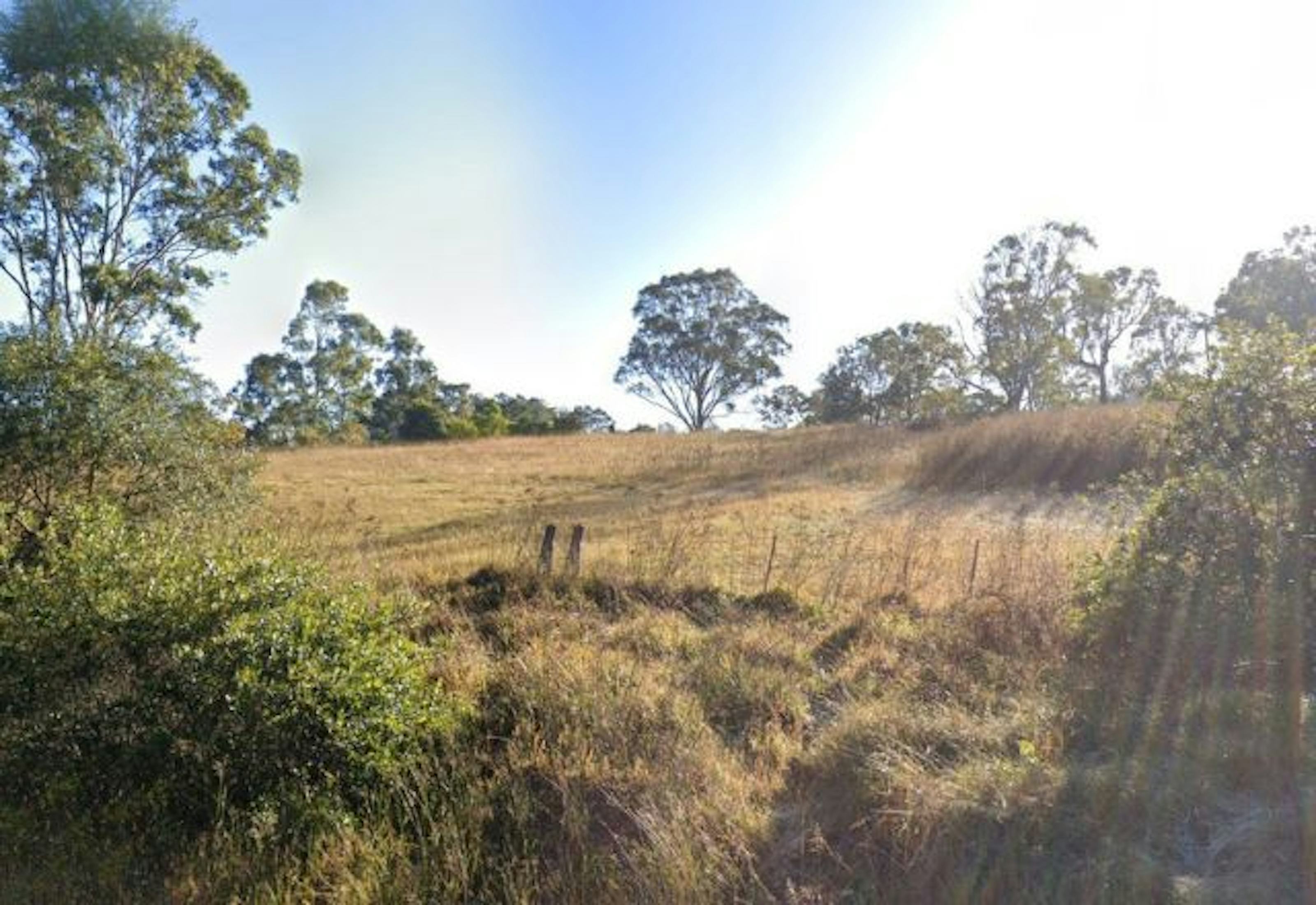 163 133 Pioneer Rd. HUNTERVIEW, NSW 2330-3