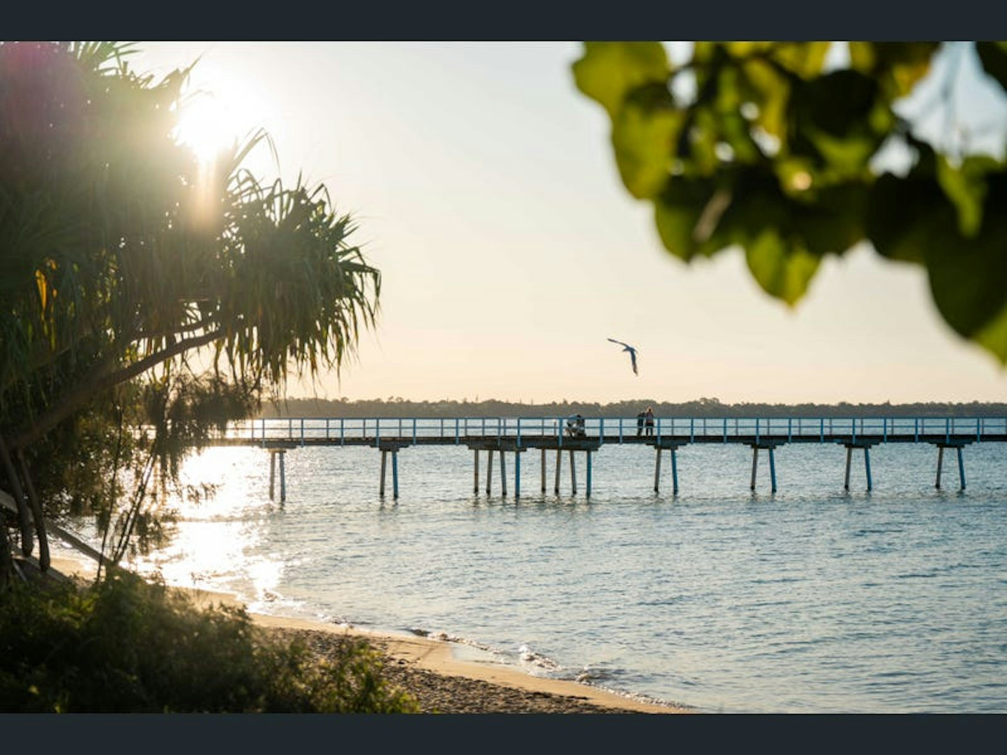 Lot 203 Hovea Way Nikenbah, QLD 4655-1
