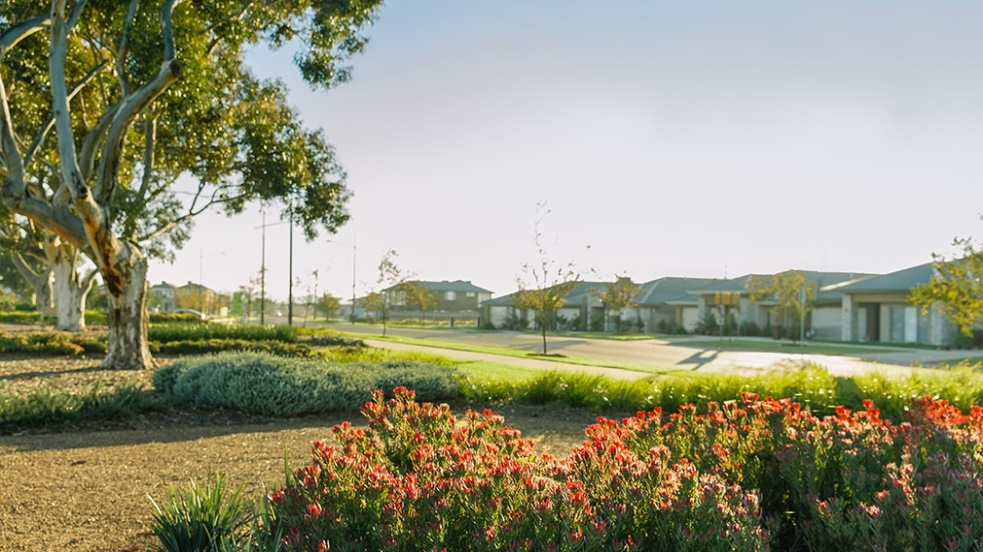 Lot 1215 - Merrifield Estate - Mickleham-2